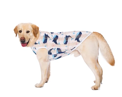 HDKUW Pet Clothes,Dog Summer T-Shirt Cool Breathable Sunscreen Dog Vest Clothes Outfit Costume for Medium Large Dogs White Whale XL - color: White Whale, size: XL