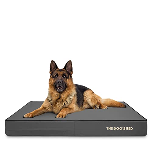 The Dog’s Bed Orthopedic Memory Foam Dog Bed for XL Dogs, Waterproof Washable Cover, Anti-Slip Base, Calming Surface – CertiPUR-Certified Foam, Grey with Black Trim, 6 Inch Thick - color: Grey with Black Trim, size: XL Beds (6" deep)
