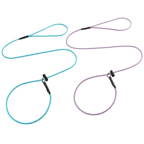 Reflective Slip Lead Leashes Puppy Training Lead – 4.3mm Paracord Rope with 12-Core Strength, 1000lb Pull Force Set of 2 for Small & Medium Dogs (Purple & Light Blue, 4 FT) - color: Purple & Light Blue, size: 4 FT