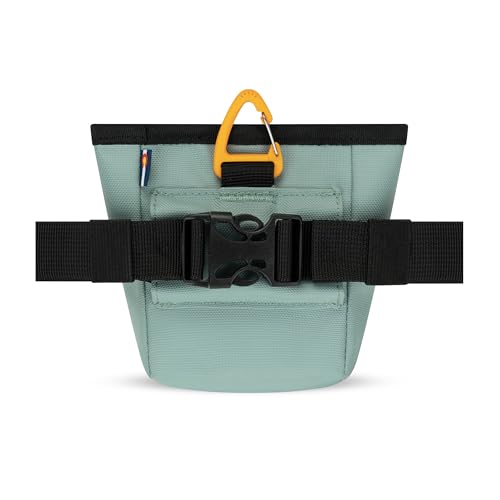 OllyDog Goodie Treat Bag, Dog Treat Pouch, Waist Belt Clip for Hands-Free Training, Magnetic Closure, Dog Training and Behavior Aids, Three Ways to Wear (Surf) - color: Surf