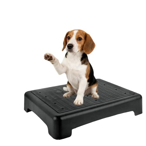 Dog Training Place Board with Whistle, Non-Slip Portable Dog Platform for Agility, Puppy Training Equipment for Small Medium Dogs 17.3"x13.4"x3.8" (Black)