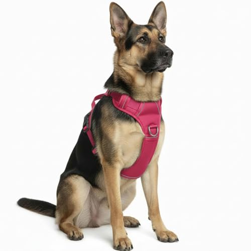 No Pull Dog Harness with 2 Leash Clips, Adjustable Soft Padded Reflective Oxford Pet Vest with Easy Control Handle for Large Dogs (Fuchsia, Extra Large) - color: Fuchsia, size: Extra Large