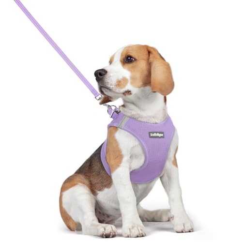 rabbitgoo Dog Harness Small Medium Sized and Leash Set, Step in Soft Light Puppy Vest, Breathable Mesh Pet Harness, Reflective for Safe Easy Walking, Light Purple L - color: Light Purple, size: L (chest: 18.2 - 20.5")