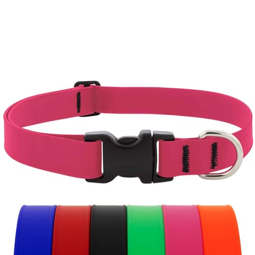 LupinePet Waterproof Splash Dog Collar, Neon Pink, 1-inch Wide, adjusts 12-20", Made with BioThane - color: Neon Pink, size: Medium: Adjusts from 12 to 20 in, 1-in wide