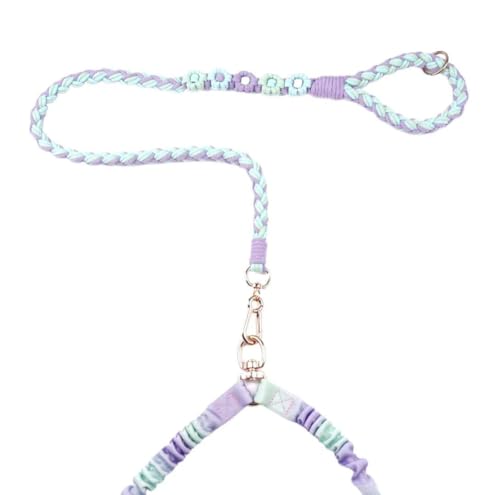 Dual Dog Leash,Double Dog 360 Swivel No Tangle Walking Leash,Comfortable Shock Absorbing Reflective Bungee for Two Dogs (Ocean Breeze) - color: Ocean Breeze