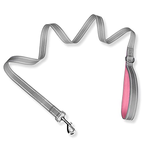PHOEPET 5 Feet Dog Leash - Dual-Side Reflective - Soft Padded Handle - Fit for Walking, Training or Exploring Hiking, Camping (Grey + Baby Pink Base) - color: Grey + Baby Pink Base