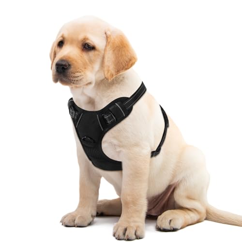 Black Adjustable Reflective No-Pull Dog Harness with 2 Leash Clips，Soft Padded Vest for Small Dog, Easy to Put on and Take Off,Black Small - color: Black, size: Small
