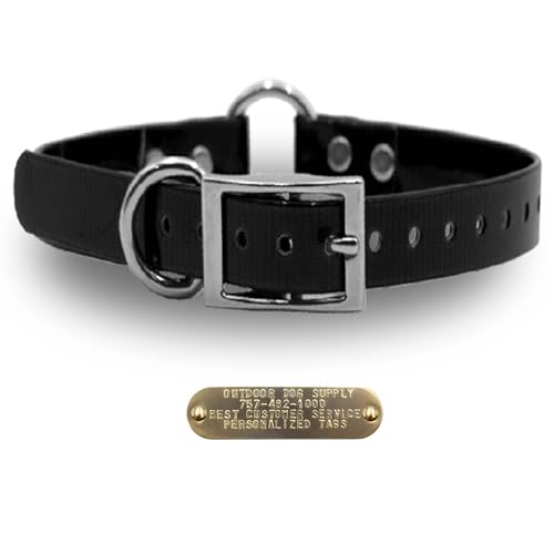 Outdoor Dog Supply 1" Heavy Duty Waterproof D-Ring & Center O-Ring Dog Collar for Medium & Large Dogs | Custom 3/4" Brass Nameplate (Black, 21") - color: Black, size: 21" Long
