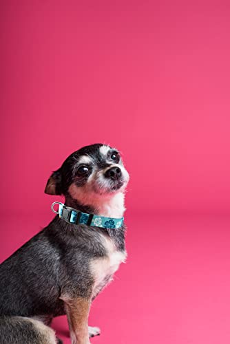Dog Collar, Cute Floral Pattern, Soft and Adjustable Collar with Quick Release Buckle (XS (Neck 9-13", Width 3/8"), Hawaiian Blue) - color: Hawaiian Blue, size: XS (Neck 9-13", Width 3/8")