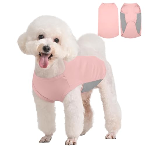 Kuoser Dog Cooling Shirt, Sun Protection Puppy T-Shirts, Quick Dry Dog Summer Clothes for Small Dogs Boy Girl Pink XS - color: Pink, size: Xs