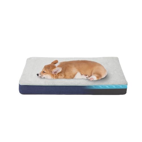 Medium Dog Bed - 29" Orthopedic Memory Foam Bed for Senior & Arthritic Dogs, Washable Cover, Waterproof Lining
