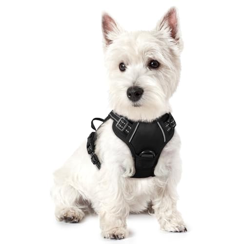 rabbitgoo Dog Harness No Pull with 2 Leash Clips, Adjustable Soft Padded, Reflective Oxford No Choke Pet Vest with Easy Control Handle for Puppy, Black, XS - color: Black, size: X-Small