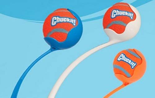 Chuckit! Dog Tennis Ball Dog Toy, Large (3 Inch Diameter) for dogs 60-100lbs, Pack of 1 - size: Large - Pack of 1