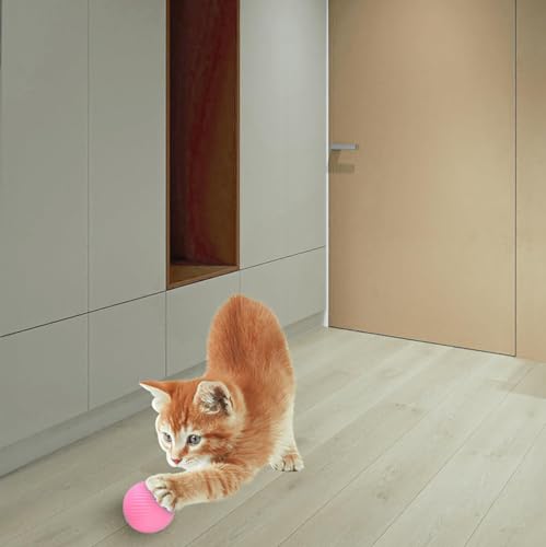Wloom Cat Ball - Interactive, Self-Moving, Automatic Rolling Toy for Indoor Playing, Stimulates Hunting Instinct in Your Kitty (Pink) - color: pink