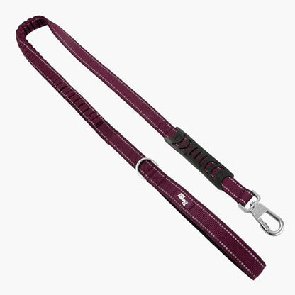 Dog Friendly Co. Bungee Dog Leash | Strain Free & Shock Resistant for Control | Neoprene Padded Handle, Heavy-Duty Carabiner Clip, and D-Ring | Burgundy, Size Regular - color: Burgundy, size: Regular