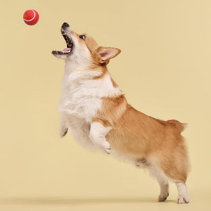 Playology Dog Toys | Squeaky Chew Ball - Bouncy Durable Floating Fetch Ball for Dogs | Medium Beef Scented Toy - Easy to Clean and Made from Non Toxic Materials - size: Medium, style: Beef