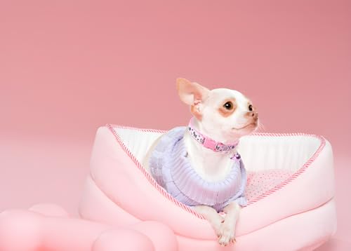 Pink Puppy Collar with Bell, 2 Pack Girl's Small Dog Collar with Bell Nylon Cute Female Cat Collars Adjustable for XXS XS Little Small Girl's Kitten Dogs - color: Pink
