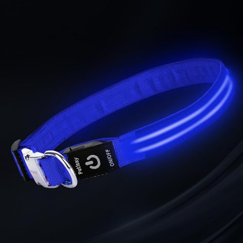 LED Dog Collar with Metal Buckle - USB Rechargeable Glow Collar for Dogs, Waterproof Light Up Dog Collar w/Reflective Strips - Adjustable Night Safety Collars by PetIsay(Blue,Large) - color: Blue(Fiber optic version), size: Large (18½ " - 23½ ")