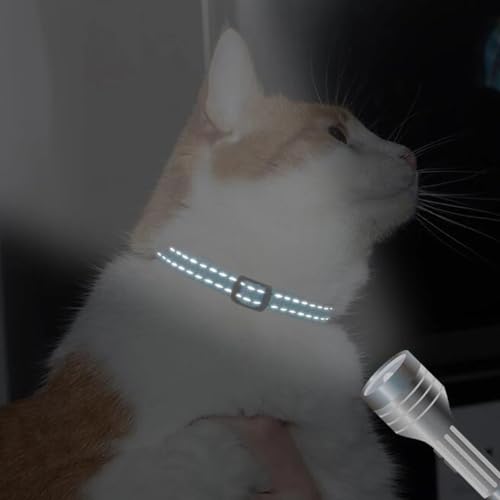 Red Puppy Collar with Bell, Reflective Nylon XS Dog Collars Soft Adjustable Buckle for XXS XSmall Small Dogs Tiny Pets Cats Boy Girl Kitten Yorkie Chihuahua X-Small - color: Red
