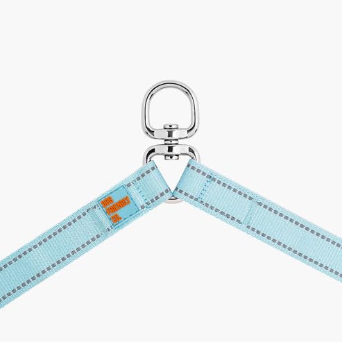 Dog Friendly Co. Leash Splitter | Walk Two Dogs | Complete Control - 360° Swivel, Tangle Free, Adjustable Length, Reflective Webbing, Heavy Duty Clips | Sky Blue - color: Sky Blue