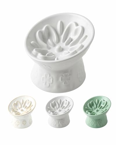 Ceramic Slow Feeder Cat Bowl, 15° Tilted Elevated Cat Slow Eating Bowl for Neck Protection, Anti Vomiting Dog Slow Feeder, Whisker Friendly & No Black Chin for Cats and Small Dogs, White - color: 01-White