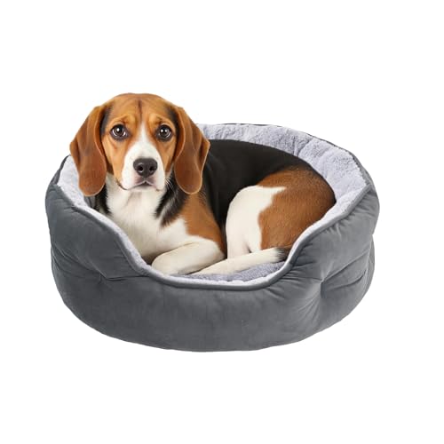 Amazon Basics Round Dog Bed for Medium Dogs, Cat Beds for Indoor Cats, Washable Pet Bed with Soft Plush Cushion, Anti-Slip Bottom, 30x24x8 Inches, Gray - size: L-30"×24"×8"