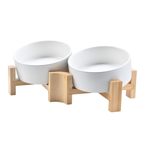SPUNKYJUNKY 15° Slanted Ceramic Dog Bowl with Elevated Bamboo Stand - Tilted Pet Feeder for French Bulldog Pugs No Slip Anti-Vomiting for Cat Small Dog Flat Face Pets 13.5 OZ (1.7 Cups, White × 2) - color: White, size: 1.7 CUPS × 2