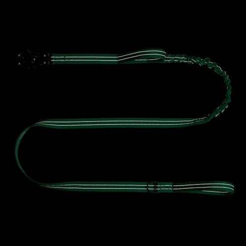 ICEFANG Tactical Dog Leash,K9 Training Walking Bungee Lead with 2 Control Handle,Heavy Duty Quick Release Metal Clasp,for Medium Large Breed (Teal, 6 FT) - color: Teal, size: 6 FT