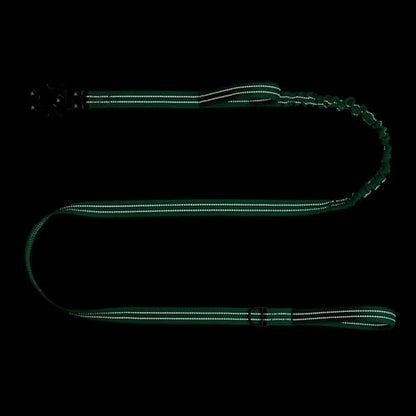 ICEFANG Tactical Dog Leash,K9 Training Walking Bungee Lead with 2 Control Handle,Heavy Duty Quick Release Metal Clasp,for Medium Large Breed (Teal, 6 FT) - color: Teal, size: 6 FT