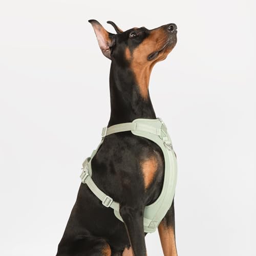 All-Weather No Pull Dog Harness Reflective Vest Harness QR Code Anti-Lost Adjustable Quick-Release Buckle Soft Padded Breathable Harness for Small Medium Dogs (Super Reflect-Black, S) - color: Super Reflect-Black, size: S