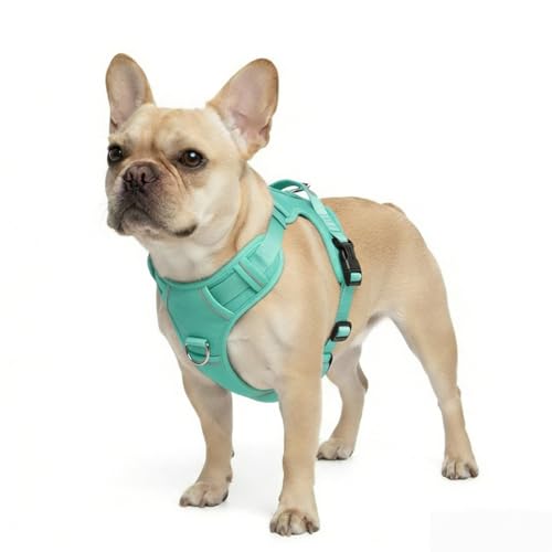No Pull Dog Harness with 2 Leash Clips, Adjustable Soft Padded Reflective Oxford Pet Vest with Easy Control Handle for Large Dogs (Turquoise, Small) - color: Turquoise, size: Small