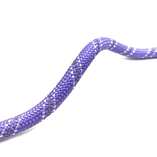 Heavy Duty Dog Leash with 1100LB Rated Locking Carabiner – 6FT Climbing-Inspired Reflective Rope Leash for Large & Medium Dogs that Pull – Padded Handle (Purple) - color: Purple