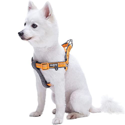 Blueberry Pet Soft & Comfy 3M Reflective Step-in Pastel Color Padded Dog Harness, Chest Girth 26" - 39", Orange Peel, Large, Adjustable Harnesses for Dogs