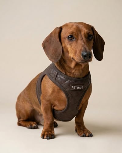 Step in Dog Cat Harness Lightweight Breathable Mesh Soft Padded Pet Vest Vegan Leather Choke Free Escape Proof for Small Medium Dogs (Chocolate Brown, Small) - color: Chocolate Brown, size: Small: Neck=9.4-11.4''/Chest=14.5-17''