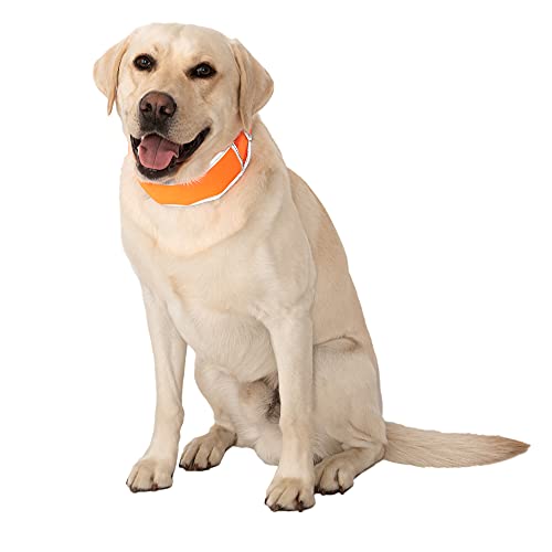 CoolerDog Hi-Vis Cooling Dog Collar for Large Dogs – Reflective Re-Freezable Ice Collar for Hot Weather & Heat Relief (Orange, Large) - size: Large