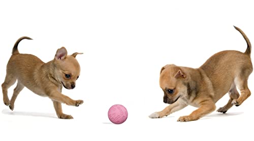 Snug Rubber Dog Balls for Small and Medium Dogs - Tennis Ball Size - Virtually Indestructible (3 Pack - Chic) - color: Chic