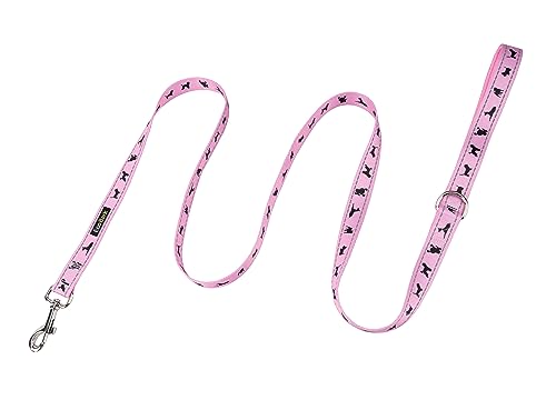 EcoBark Teacup Dog Leash - Soft & Reflective Toy Breed Leashes with Padded Handle - Strong & Durable - Training and Pulling for Tiny & Small Dogs (Baby Pink) - color: Baby Pink, size: 6 ft x 5/8 in - Thinnest Width