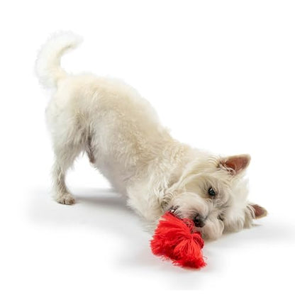 Playology Dog Toys | Dri-Tech Rope Toy Tug of War Rope for Aggressive Chewers | Medium Beef Scented Toy - Easy to Clean and Made from Non Toxic Materials - size: Medium, style: Beef