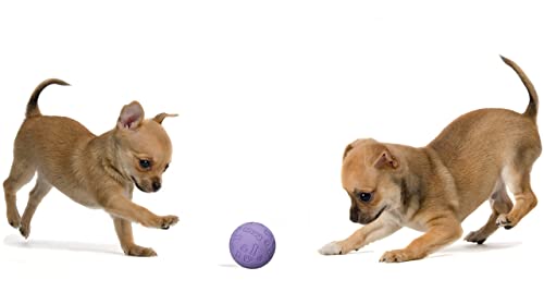 Snug Rubber Dog Balls for Small and Medium Dogs - Tennis Ball Size - Virtually Indestructible (3 Pack - Chic) - color: Chic