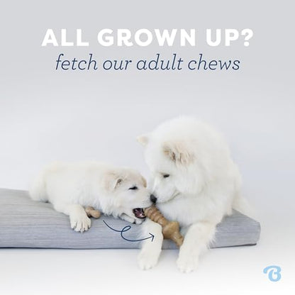 Benebone Puppy Fishbone Dog Chew Toys, Softer for Modest Chewers, Made in USA