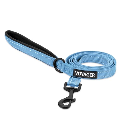 Best Pet Supplies Voyager Reflective Dog Leash or Collar with Neoprene Handle, for Small, Medium, and Large Breed Puppies, Cute and Heavy Duty for Walking, Running and Training - Baby Blue (Leash), M - color: Leash (Baby Blue), size: Medium (3/4" x 5ft)