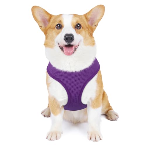 MoNiBloom Dog Harness for Small Sized Dog, Soft Puppy Padded Vest for Walking, Running, Training - Purple, M - color: Purple, size: M