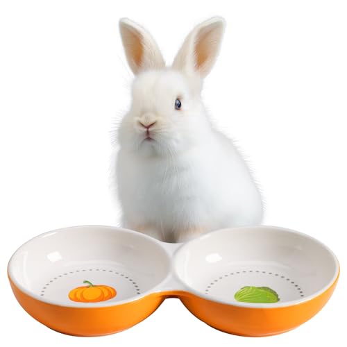 Navaris Twin Feeding Bowls for Small Pets - Durable Double Ceramic Bowl Set for Rabbits, Guinea Pigs - Ideal Food & Water for Kitten, Puppy - Space-Saving & Easy to Clean - Orange - color: Orange