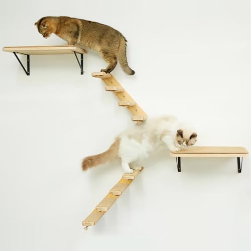 Cat Wall Furniture Set, 2PCS Cat Shelves & 2PCS 4 Steps Wall Shelves Stairs Tower Climbing Scratching Perches for Climbing Sleeping, Playing - color: Wood Shelf, size: Combo A (4 Pieces)