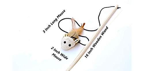 Cat Kitten Teaser Wand Toys, Sisal with Mouse, Bell, Feather, Elastic String, Sturdy Wood Stick, Interactive Fun, Cat Catcher Mice for Pet, Set of 3