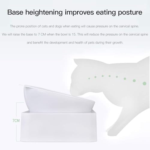 Cat Bowls, Pet Food Bowls, 15° Tilted Cat Bowl for Indoor Cats, Dog Food and Water Bowl Set