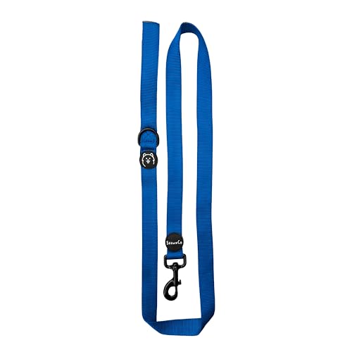 ShawnCo Dream Walk Dog Leash- Premium, Nylon Pet Leash with Soft Neoprene Handle for Small, Medium and Large Dogs (Electric Blue, Small) - color: Electric Blue, size: Small