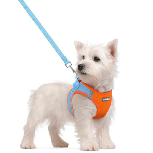 rabbitgoo Dog Harness Small Sized and Leash Set, Step in Soft Light Puppy Vest, Breathable Mesh Pet Harness, Reflective for Safe Easy Walking, Blue & Orange S - color: Blue & Orange, size: S (chest: 15.1 - 16.5")