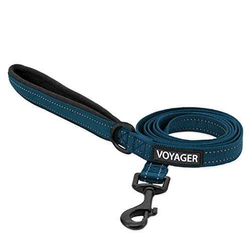 Best Pet Supplies Voyager Reflective Dog Leash or Collar with Neoprene Handle, for Small, Medium, and Large Breed Puppies, Cute and Heavy Duty for Walking, Running and Training - Blue (Leash), S - color: Leash (Blue), size: Small (5/8" x 5ft)