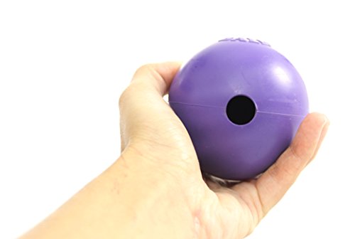 Jolly Pets Tug-n-Toss Heavy Duty Dog Toy Ball with Handle, 3 Inches/Mini, Purple (403 PR) - color: Purple, size: 3 in/Mini